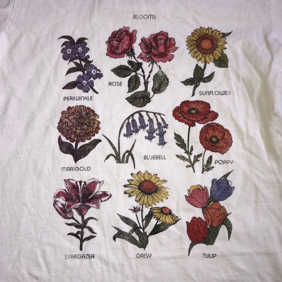 Urban Outfitters Tops - SOLD ON ANOTHER SITE Urban Outfitters T Shirt